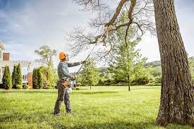 Best Tree Health Inspection  in Menlo Park Terrace, NJ