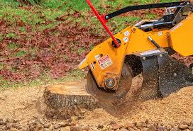Best Lawn Pest Prevention  in Menlo Park Terrace, NJ